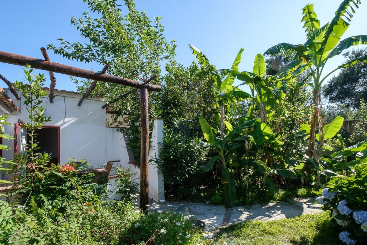La Rosa Dei Venti Apart otel Redang Island Dış mekan fotoğraf