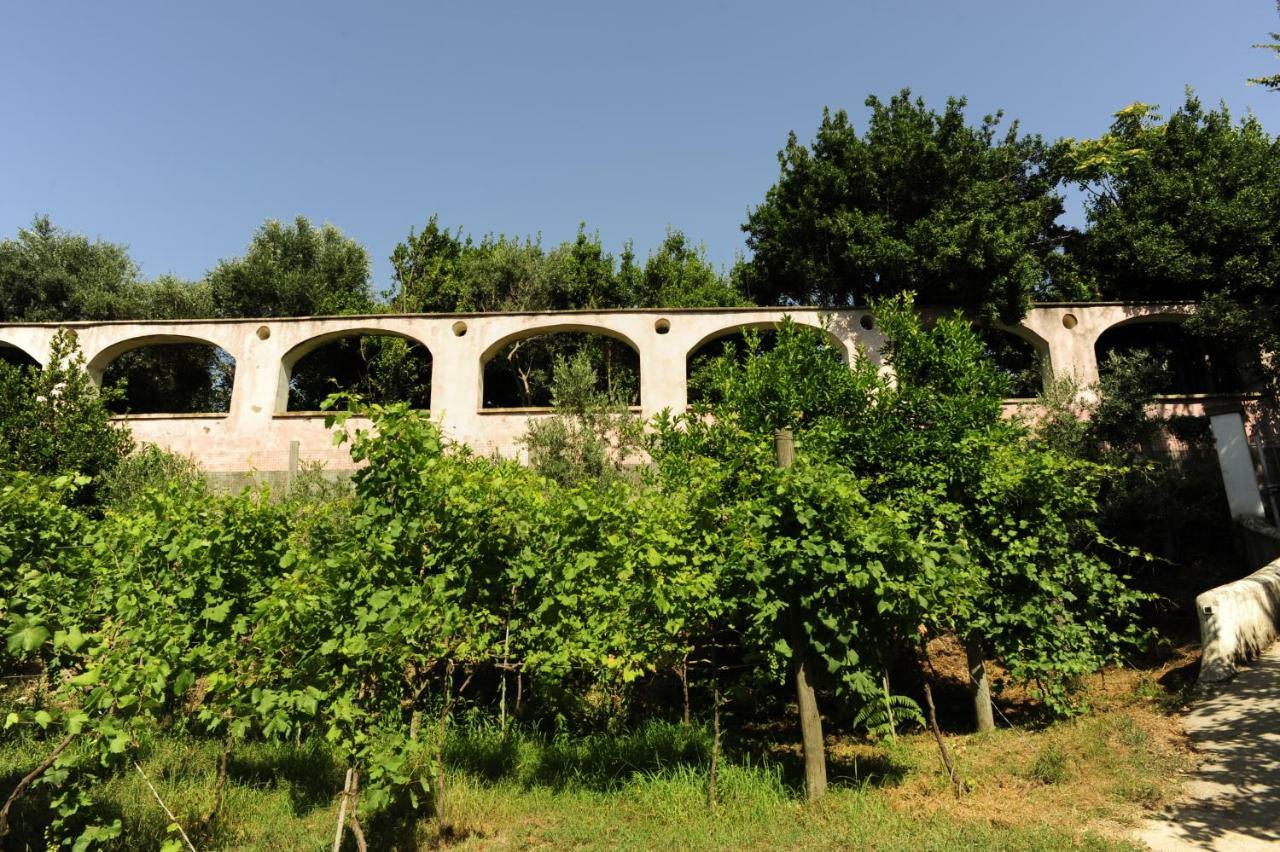 La Rosa Dei Venti Apart otel Redang Island Dış mekan fotoğraf
